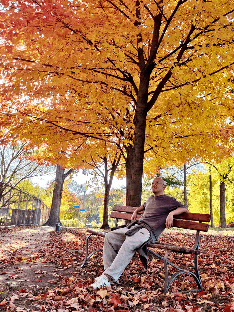 the developer is setting under a tree